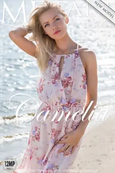 Camelia