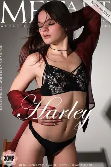 Harley